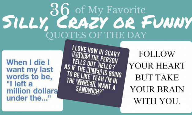 36 of My Favorite Silly, Crazy or Funny Quotes of the Day