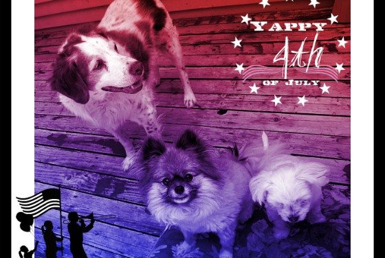 Wishing You a Safe, Sane and Yappy 4th of July