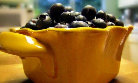 Drying Blueberries – Sun, Oven, and Dehydrating Tips