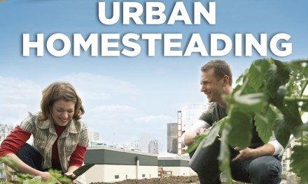 REVIEW: The Complete Idiot’s Guide to Urban Homesteading