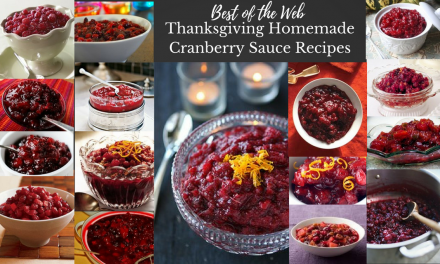 Best of the Web Thanksgiving Homemade Cranberry Sauce Recipes