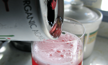 Scheckter’s OrganicEnergy Drinks – Naturally Refreshing