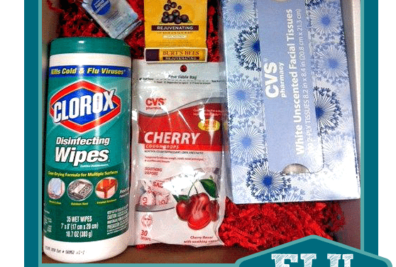 Clorox Flu Prevention and Cold Care Kit