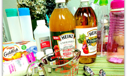 Apple Cider Vinegar – Top 5 Uses