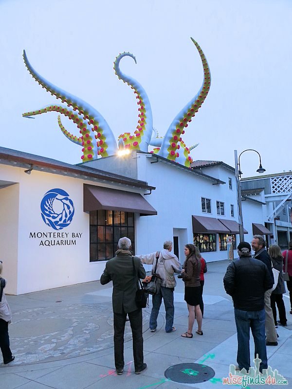 Monterey Aquarium Tentacles Exhibit - roor