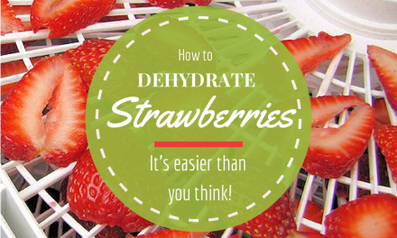 How to Dehydrate Strawberries – Hints & Tips for Drying Berries