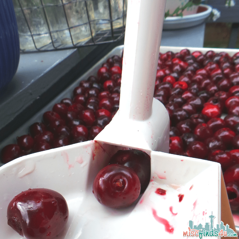 Pitting Cherries for Drying - Norpro Deluxe Cherry Pitter with Clamp