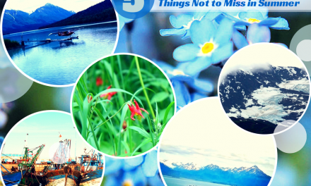 Travel Alaska: 5 Things Not to Miss When Visiting in Summer