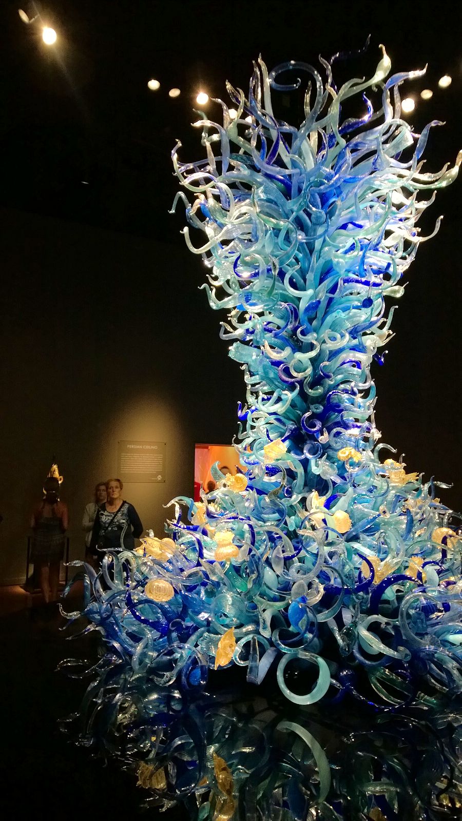 Seattle Chihuly Garden and Glass Exhibit - Sealife Gallery