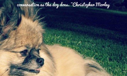 Dog Quotes: Because They Mean Everything To Us