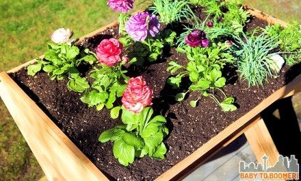 Deck Gardens: Gardening that Saves Water and Your Back