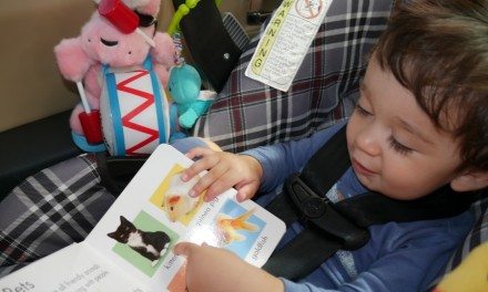 Scholastic Summer Reading Fun with the Energizer Bunny #GIVEAWAY