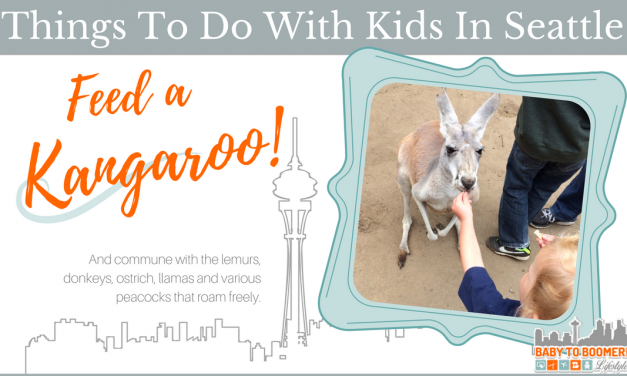 Things To Do With Kids In Seattle: Feed a Kangaroo!