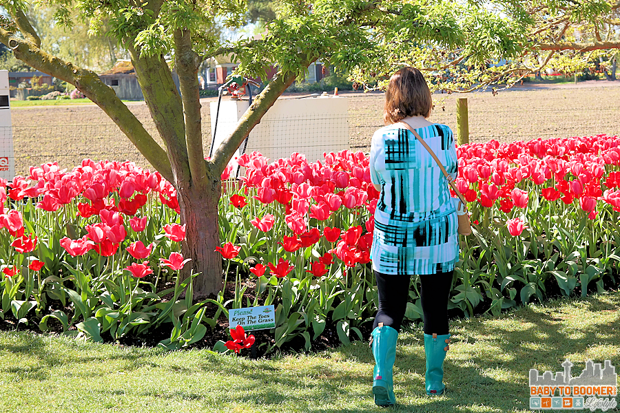 Keep Your Toes Grass Skagit Valley Tulip Festival 2016 - Spring and Fall 2016 Boot Trends: Western and Chooka Boots #TulipBoots ad