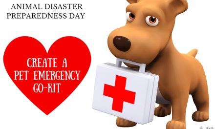 National Animal Disaster Preparedness Day: Are Your Pets Ready? #PetPrepared