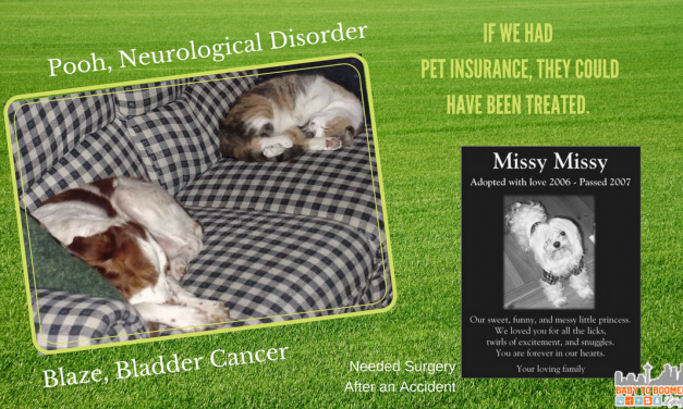 Healthy Paws Pet Insurance – Coverage for Accidents, Illness, & More!