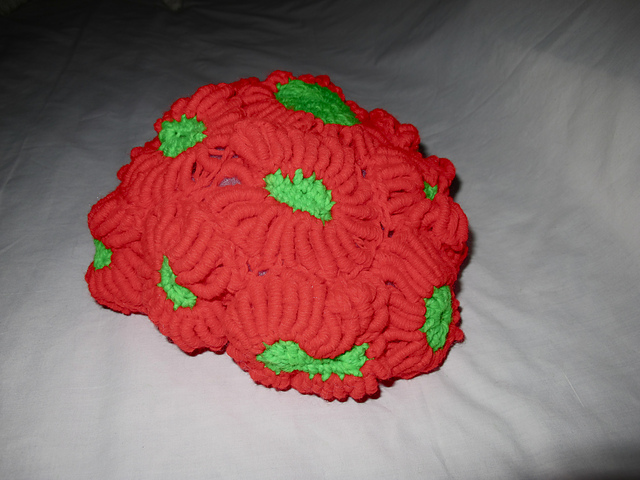 Hyperbolic Crochet - Australian War Coral - Free Crochet Pattern by Gale Bellew